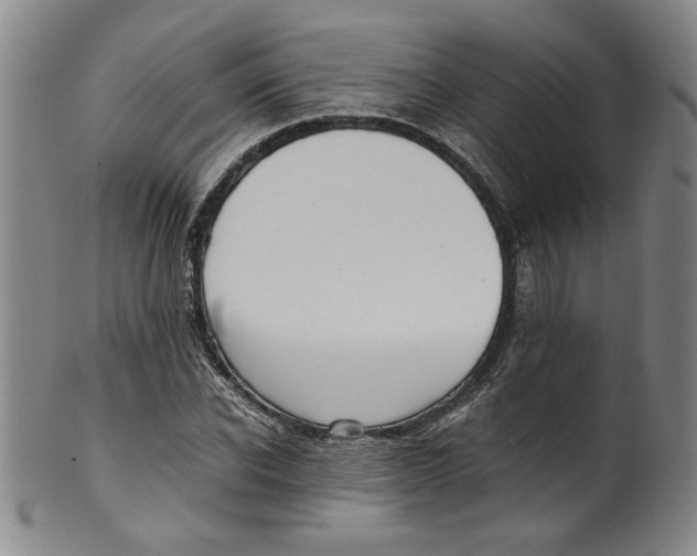 X0000100400926200806271417