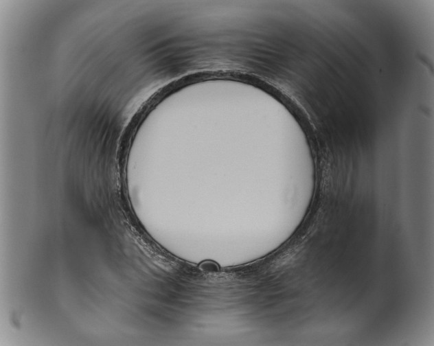 X0000100400927200806271417