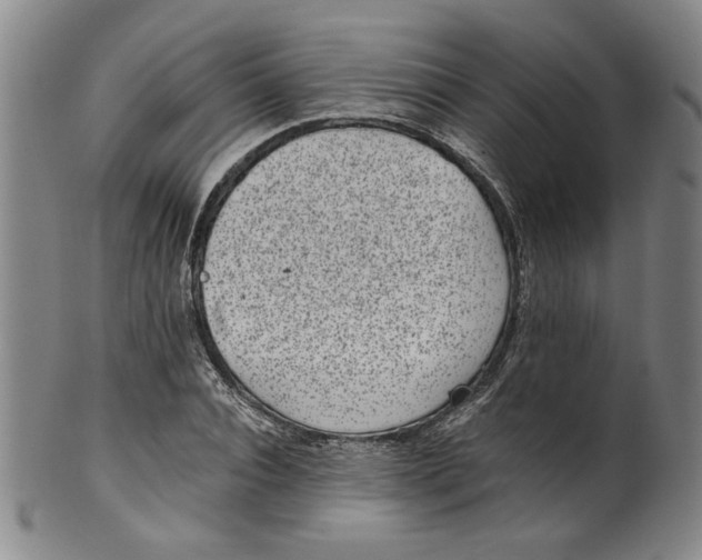 X0000100400928200806271417