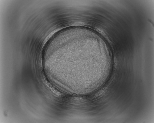 X0000100400931200806271417