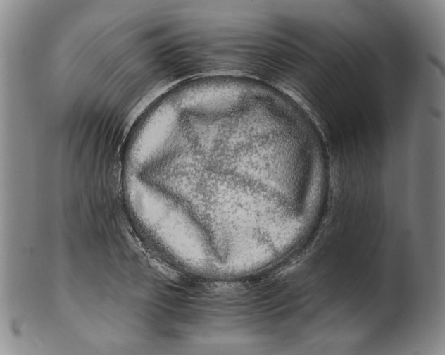 X0000100400933200806271417