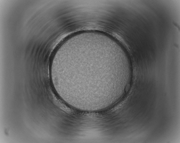 X0000100400934200806271417