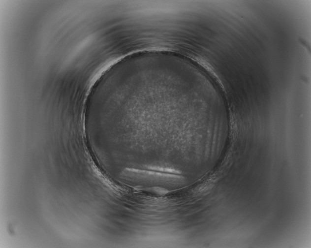 X0000100400935200806271417