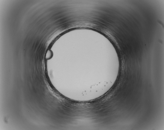X0000100400936200806271417