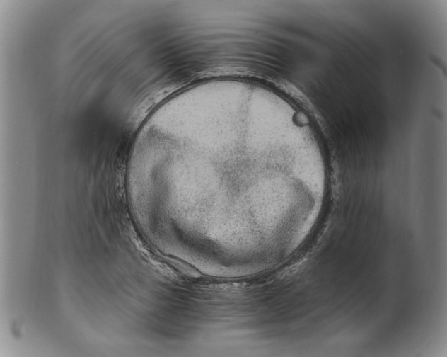 X0000100400937200806271417