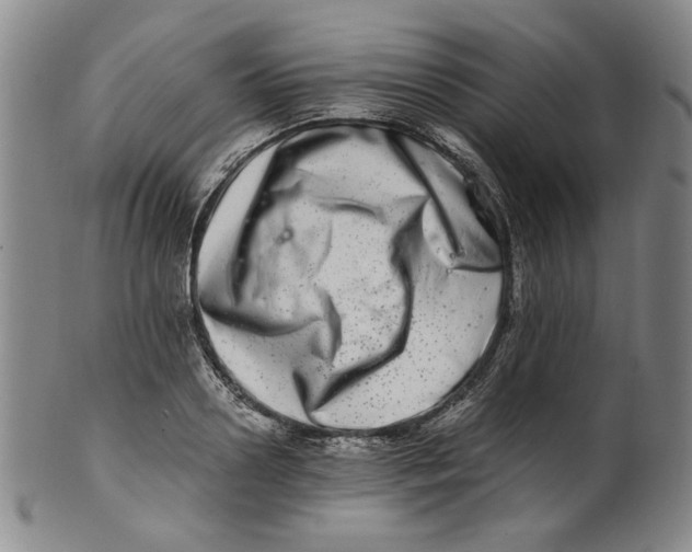X0000100400938200806271417