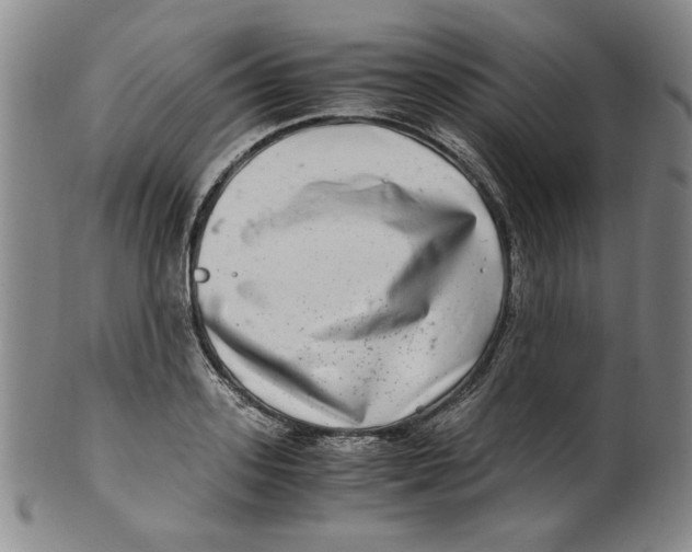 X0000100400939200806271417