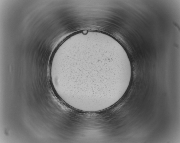 X0000100400940200806271417