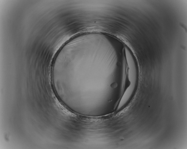 X0000100400941200806271417