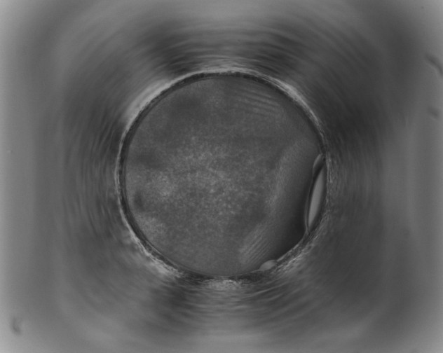 X0000100400943200806271417
