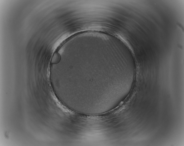 X0000100400944200806271417