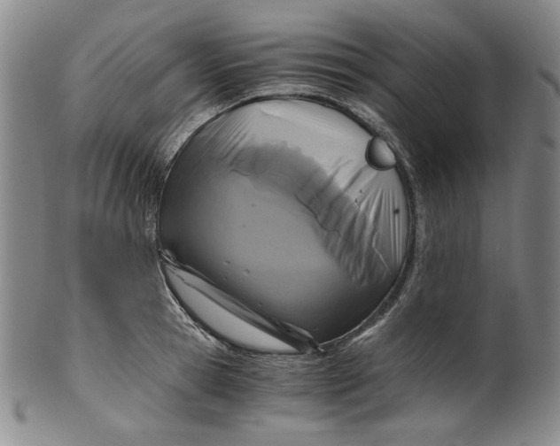 X0000100400945200806271417