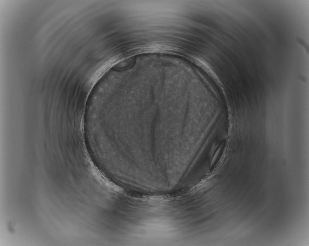 X0000100400946200806271417