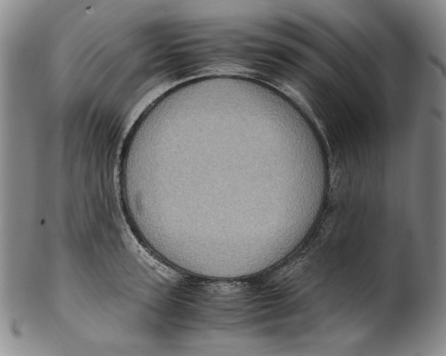 X0000100400947200806271417