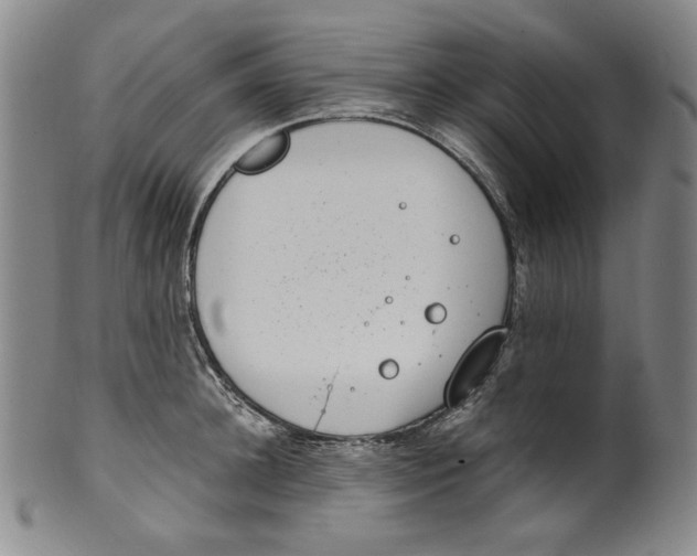 X0000100400948200806271417