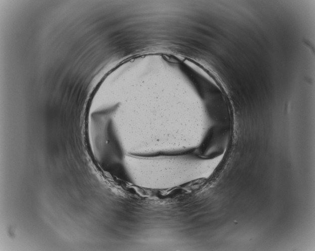 X0000100400949200806271417