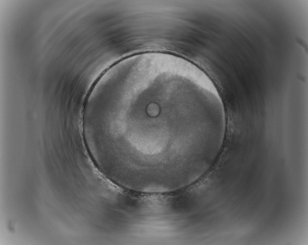 X0000100400950200806271417