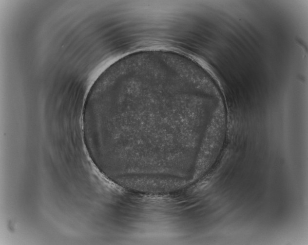 X0000100400951200806271417