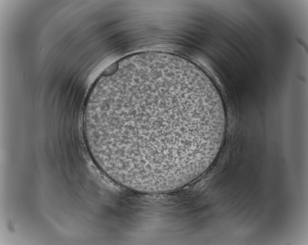 X0000100400952200806271417