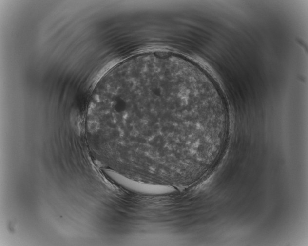 X0000100400953200806271417