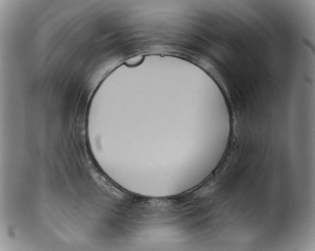 X0000100400954200806271417