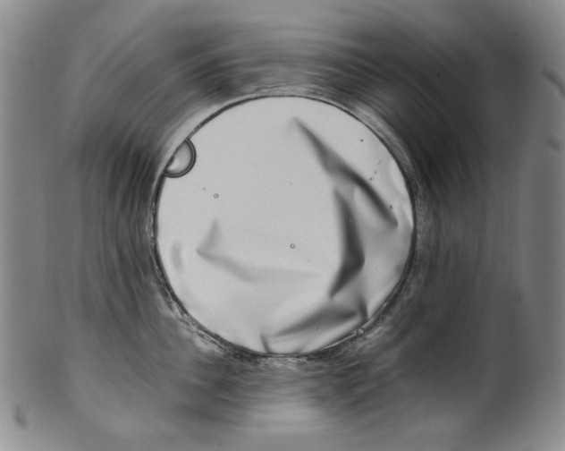 X0000100400956200806271417