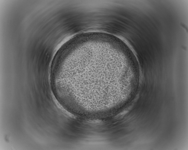 X0000100400957200806271417