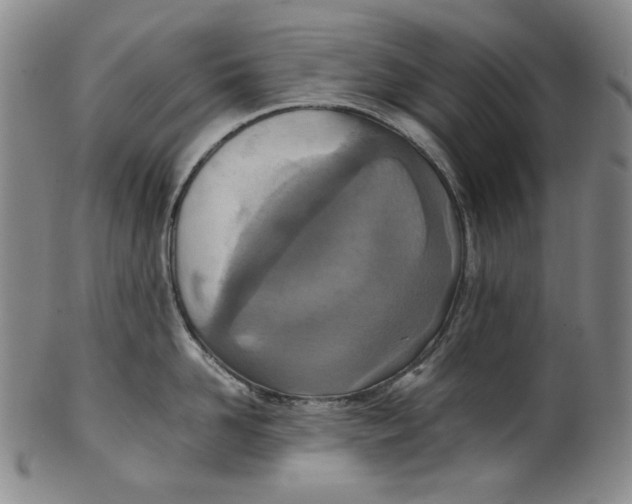 X0000100400958200806271417