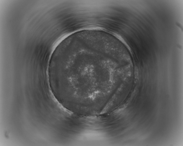 X0000100400959200806271417