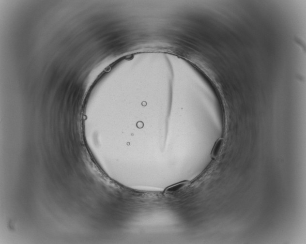 X0000100400960200806271417