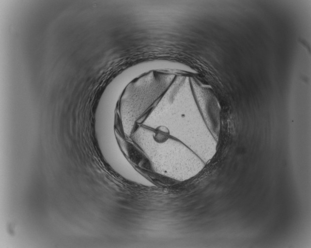 X0000100400961200806271417