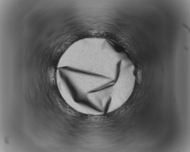 X0000100400963200806271417