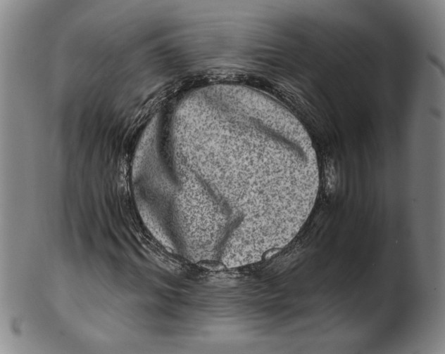 X0000100400964200806271417