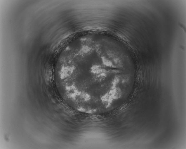 X0000100400966200806271416