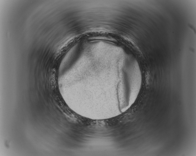 X0000100400968200806271416