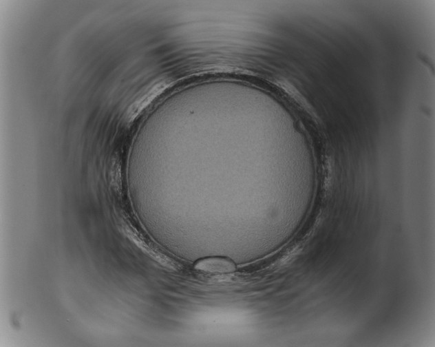 X0000100400969200806271416