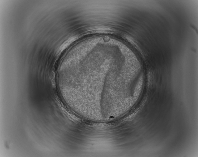 X0000100400970200806271416