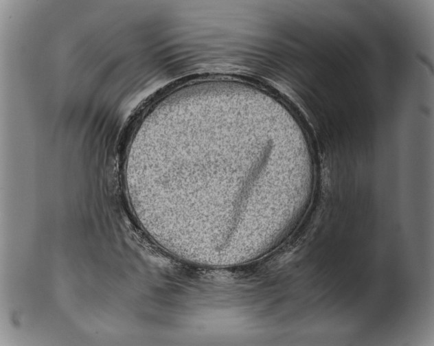 X0000100400971200806271416