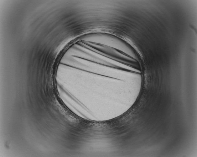 X0000100400972200806271416
