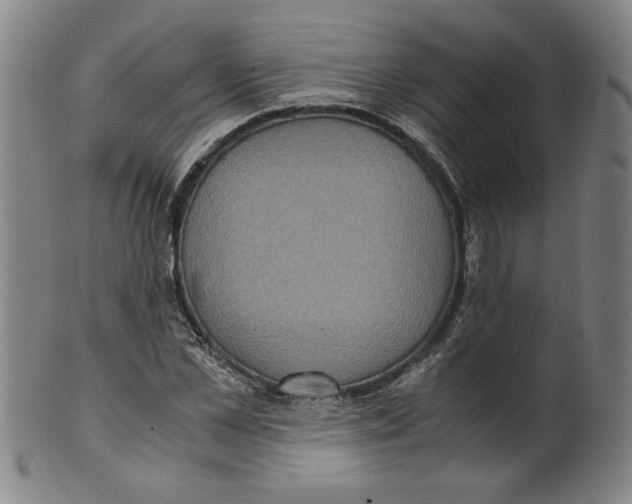 X0000100400973200806271416