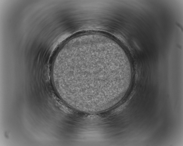 X0000100400974200806271416