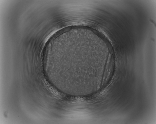 X0000100400975200806271416