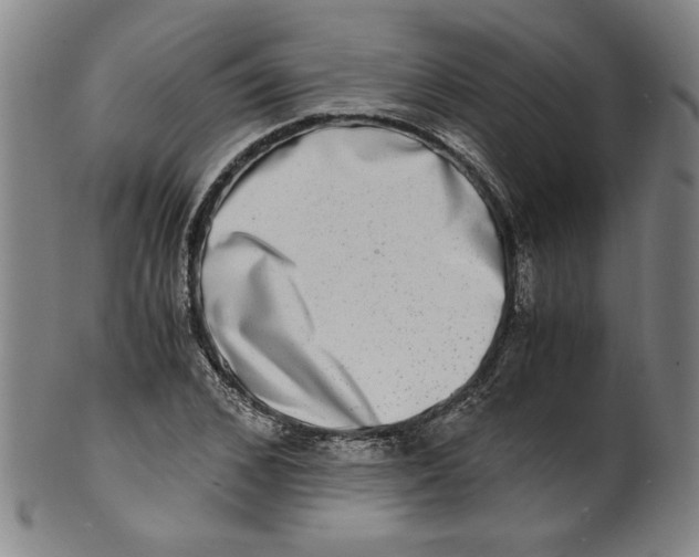 X0000100400976200806271416