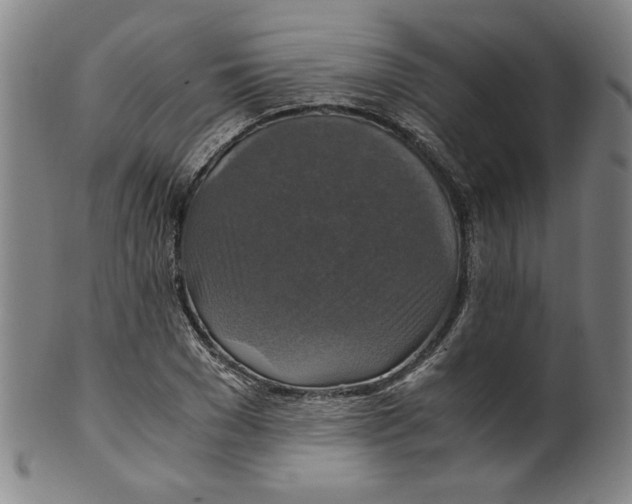X0000100400977200806271416