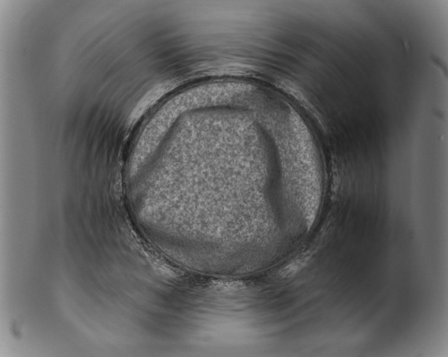 X0000100400978200806271416