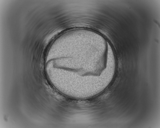 X0000100400979200806271416