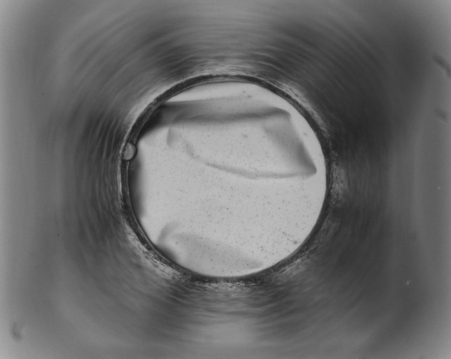 X0000100400980200806271416