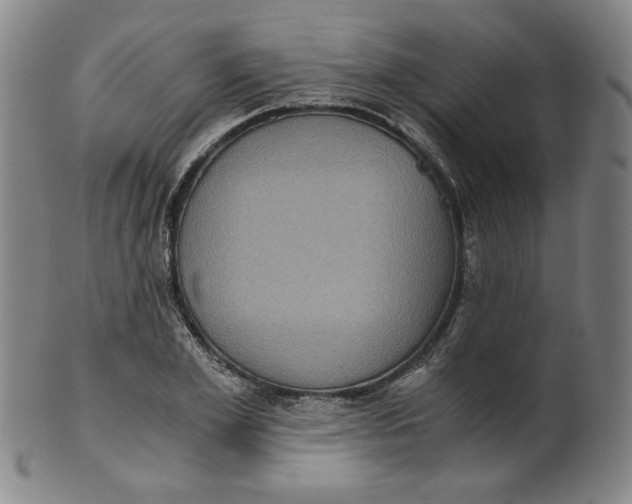 X0000100400981200806271416
