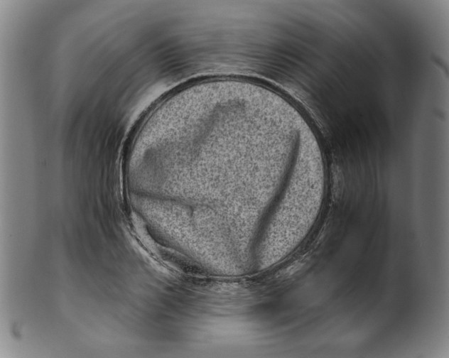 X0000100400982200806271416