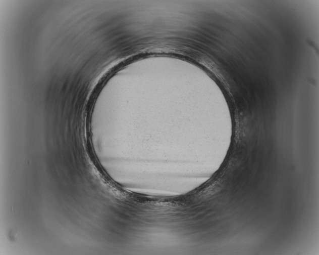 X0000100400984200806271416